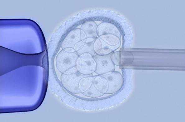 正规供卵程序,2023三明第五医院试管婴儿助孕攻略，一文读懂助孕成功率多少