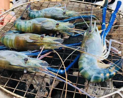 加拿大的移民骗局{加拿大投资移民误区该如何避免}