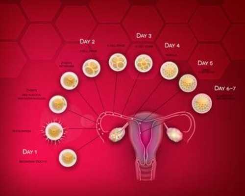 加拿大蒙特利尔移民局（多样化加拿大移民途径让更多的人成功移民）