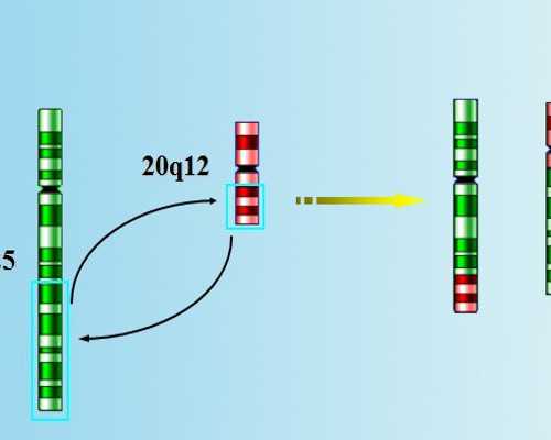 魁北克省移民局【加拿大魁北克教育体系，带孩子去蒙特利尔上学必读】