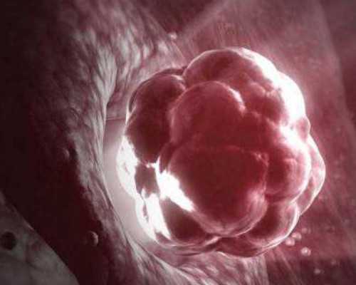 加拿大ns技术移民{加拿大联邦自雇移民面试攻略，这篇满满的干货值得收藏！