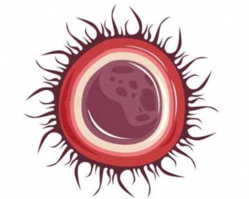 移民新西兰有年龄要求吗（新西兰技术移民2020年第一次筛选结果新鲜出炉！）