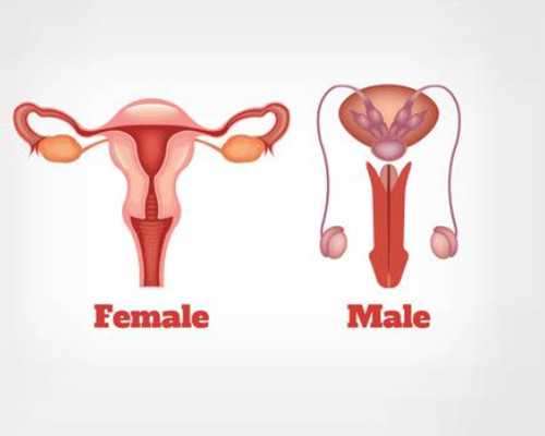 萨省技术移民2017评分【加拿大萨省怎么样，有哪些城市？】