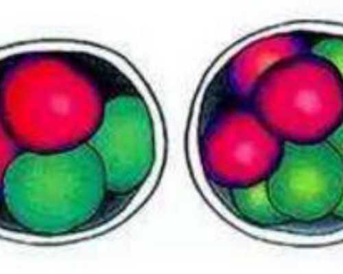 加拿大新移民英语【加拿大移民扫盲贴：加拿大移民职业清单的意义！】