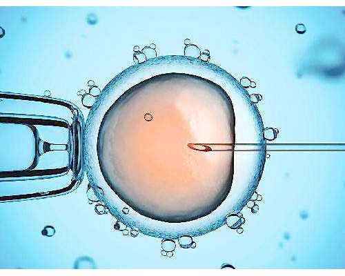 加拿大移民申请档案号（如何办理加拿大移民？如何移民加拿大？加拿大移民解