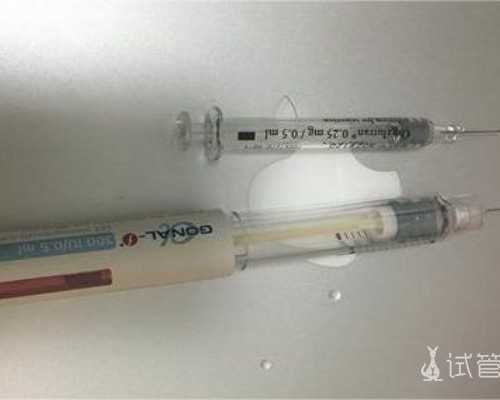 加拿大海关移民官问题{加拿大总督、平民英雄、投资达人，华人励志故事三则