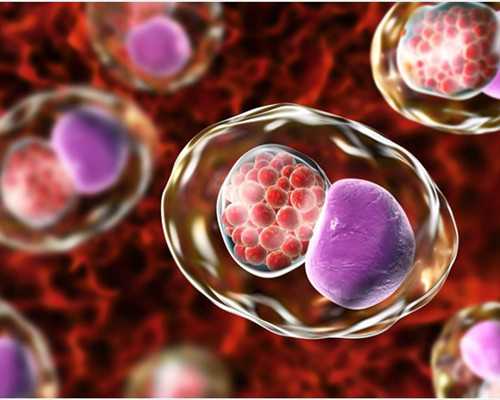 移民安省可以定居魁北克吗（浓缩的加拿大体验魁北克省生活与风景）