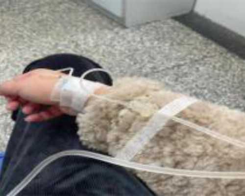 加拿大2017年移民数量{2016加拿大儿童福利计划新政策解读}