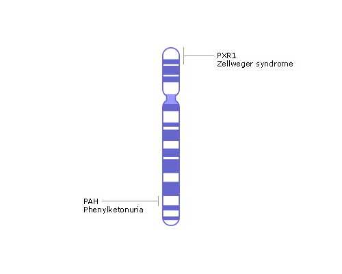 移民加拿大移民移民加拿大加拿大【加拿大医疗保险制度好不好？】