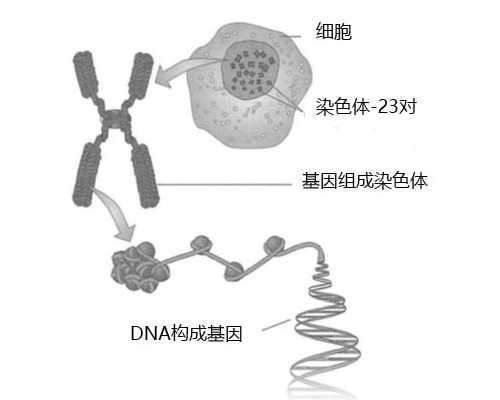 蒙特利尔 投资移民{加拿大魁北克教育体系，带孩子去蒙特利尔上学必读}
