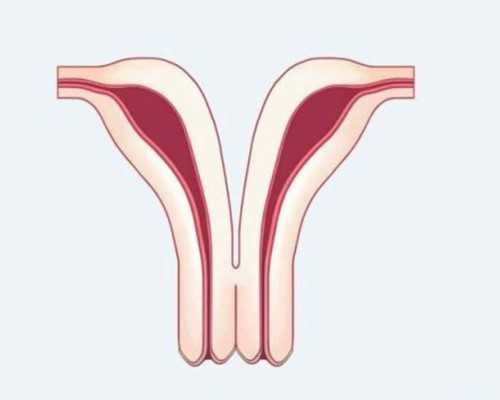 魁北克技术移民最新动态（移民加拿大魁北克的优势及生活指南盘点！）