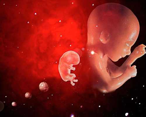 魁北克自雇移民真相（2016移民加拿大魁北克省：魁省概况知多少）