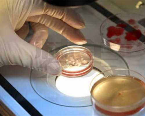 移民加拿大回国难么【华人最喜欢移民加拿大哪个省份？它到底有什么独特魅力