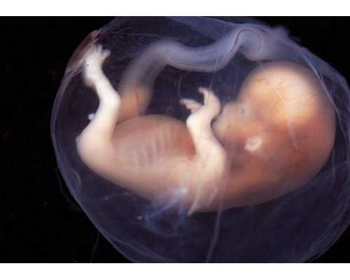 移民加拿大移民移民加拿大加拿大{移民加拿大，你后悔了吗}