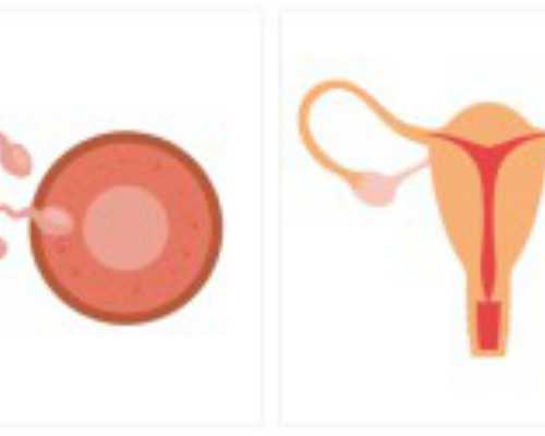 移民多伦多的好处【加拿大移民城市指南：多伦多都有哪些特点和优势？】