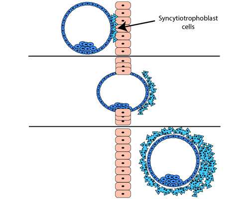 加拿大新省移民nsnp（北美首个人民币交易中心在加拿大安大略成立）