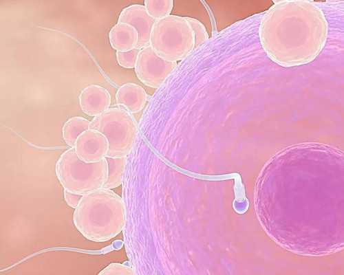 蒙特利尔移民面试{喜讯：北京至蒙特利尔直航将于2015年9月28日开通}