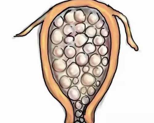 加拿大自雇移民流程（加拿大技术移民新政将在本月开始实行）