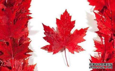 加拿大温尼伯移民网站（【移民生活】加拿大到底有什么好羡慕的？）
